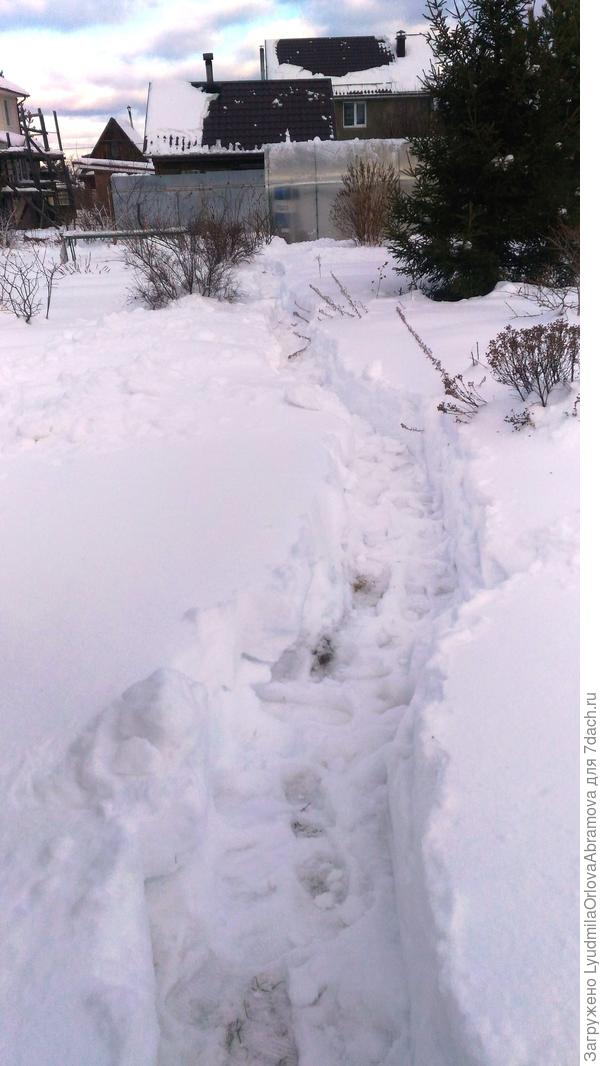 А потом продолжить её до теплицы...