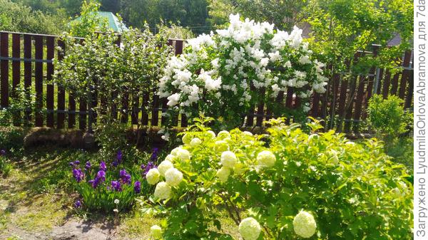 Сосед справа - такой.