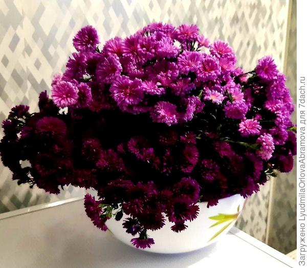 Здоровья Вам и новых замечательных идей!