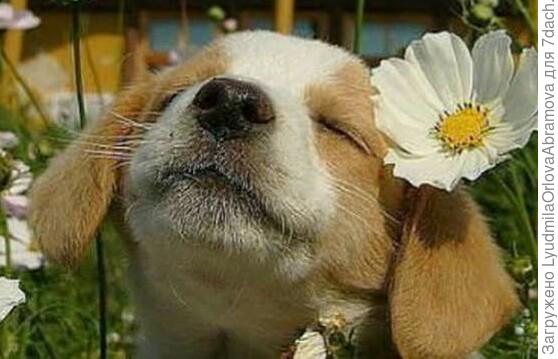 Пусть всё у Вас будет ЗАМЕЧАТЕЛЬНО!