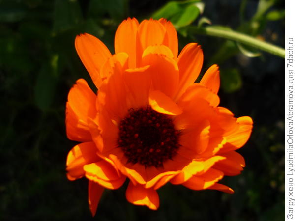 Вот и сентябрь...