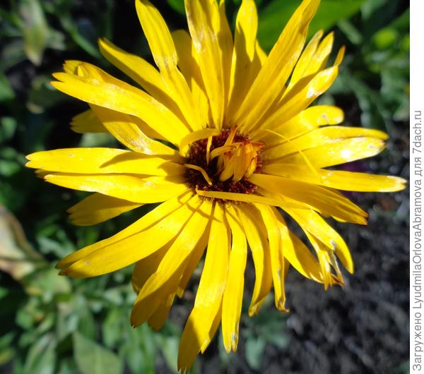 Ветерком взъерошило...