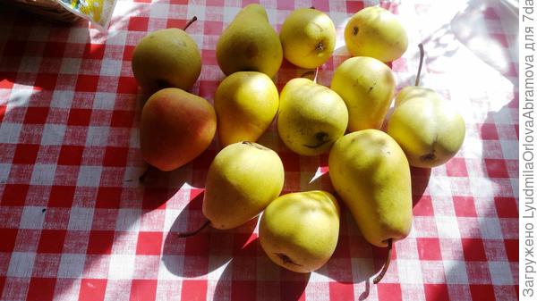 Спелые плоды желтые с легким румянцем, структура мякоти мелкозернистая, я бы даже сказала, почти не зернистая. Очень сочные, ароматные, приятные на вкус, совершенно не вяжут. Очень-очень вкусные!