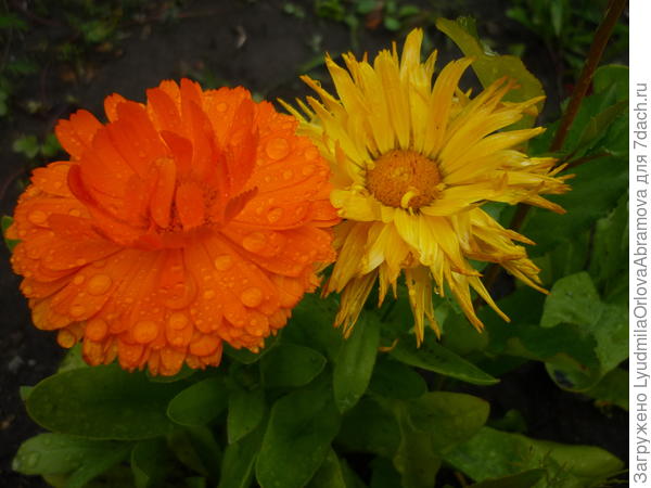 Ты рядом, и всё прекрасно, и дождь, и холодный ветер...