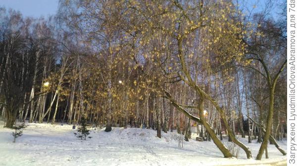 Смеркалось, уже уличное освещение включили...