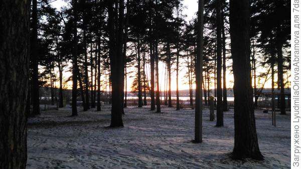 Но в парк прогуляться всё же сходили.