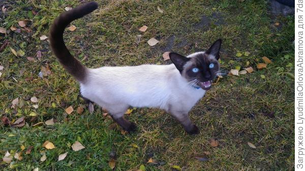 Папа - товарищ очень общительный и ласковый.