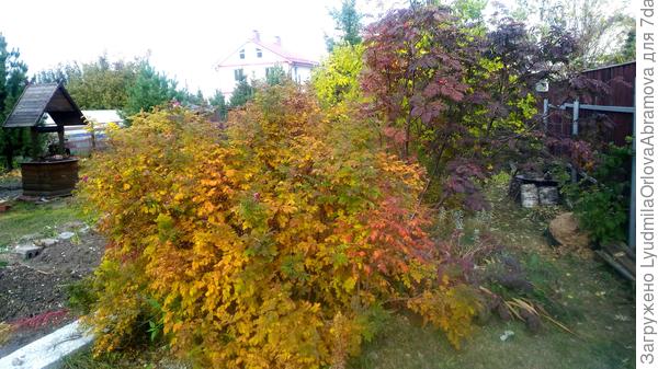 Многослойность цвета...