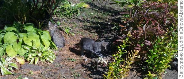 Играем в прятки.