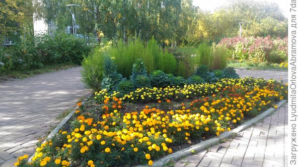 Осенняя клумба