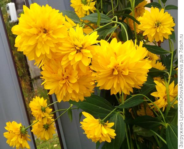 Поздравляю Татьяну с днём рождения! Всех благ, здоровья, счастья!