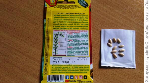 Северная корона.