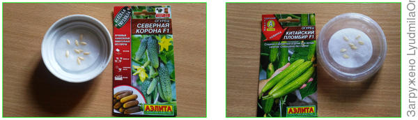 Замачивание