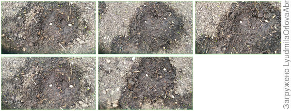 Посадка Северной короны