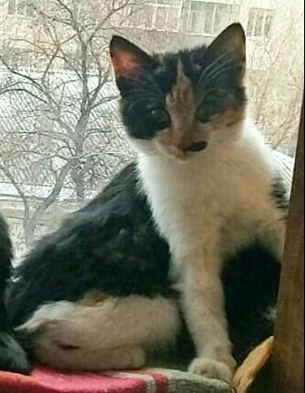 Шустрая, умненькая, шило в попе.