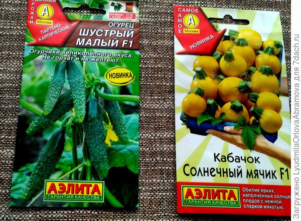 огурец и кабачок