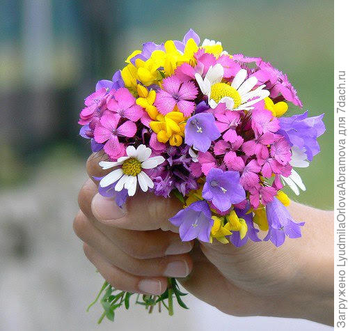 Елена, с наступившим днём рождения!