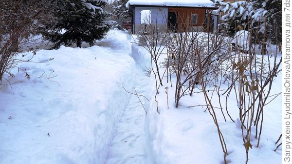 дорожка от дома к теплице