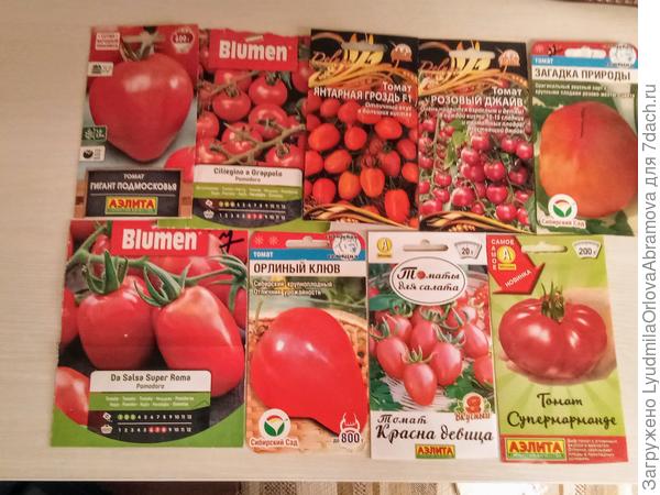 9 марта посадила раннеспелые: Гигант Подмосковья, итальянские черри, Янтарная гроздь,  Розовый джайв,  Загадка природы, итальянские для соуса,  Орлиный клюв, Красна девица,  Супермарманде.