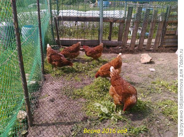 Прекрасно на воле.