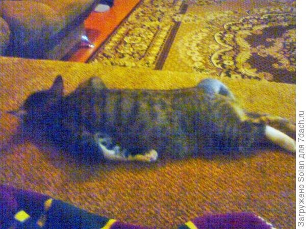 упал-заснул