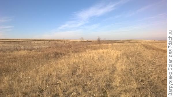 степь