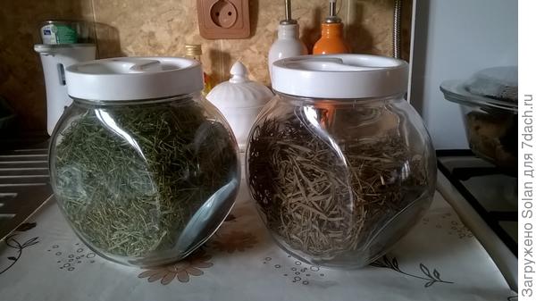 Эстрагон и шнит-лук