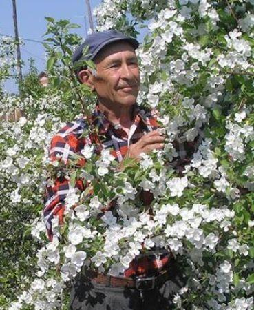 Франс Хасанович