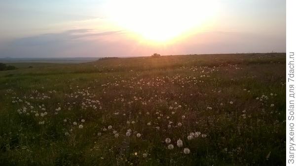 А над всем этим оглушительно звенели жаворонки и заходило солнце...