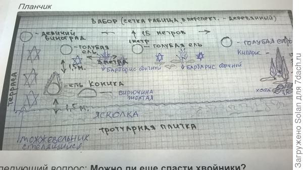 я не очень рисую, к сожалению.