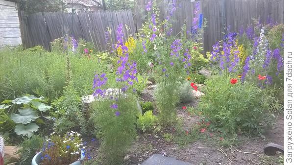 вот, конкретно сейчас телефоном &laquo;щелкнула&raquo; то, что вижу, включая страшный соседский забор))))