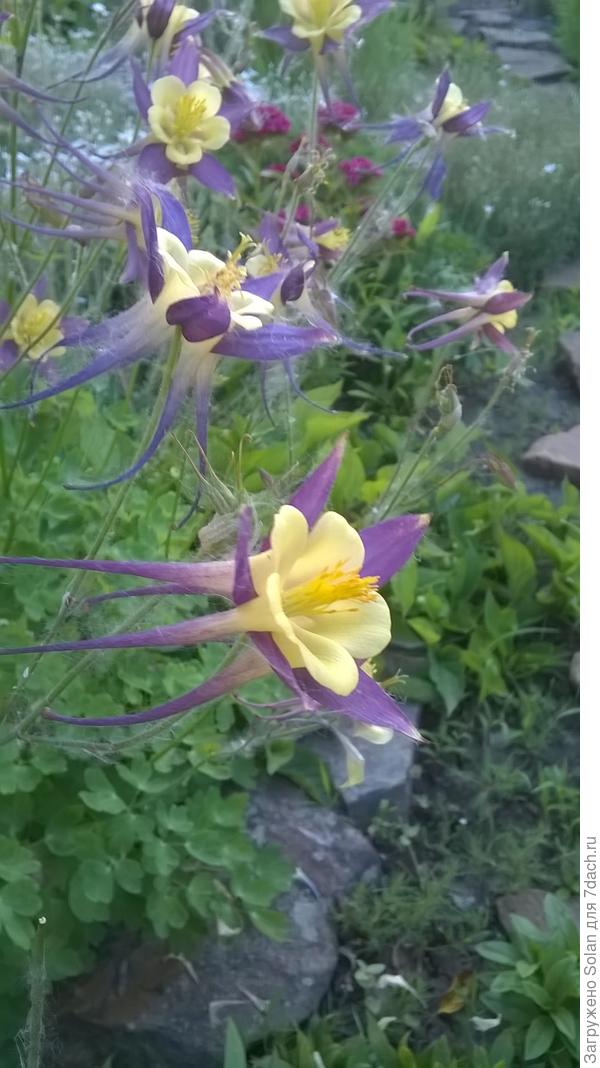 Вот кто может придумать такую форму? Архитекторы мира отдыхают!