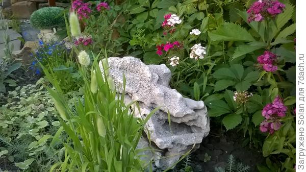 Мягкий пушистый хвостик)))