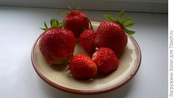 но лучше - столько!