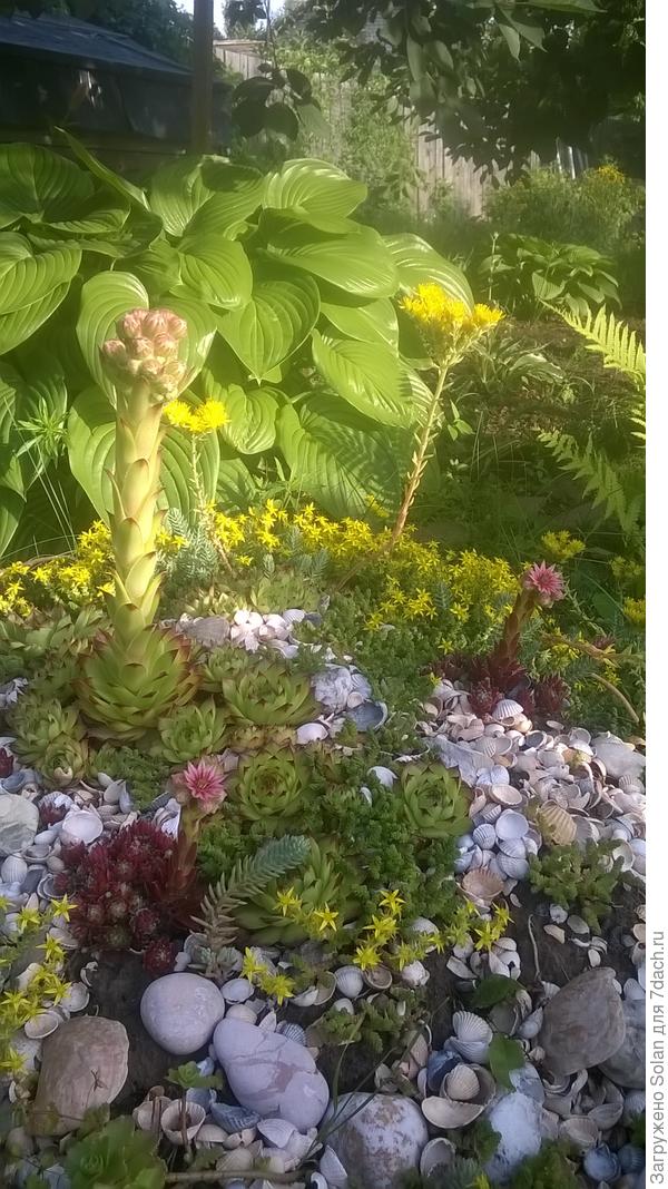 как Вам? Я была в полном восторге !))) Или Вы себя ясколку купили?