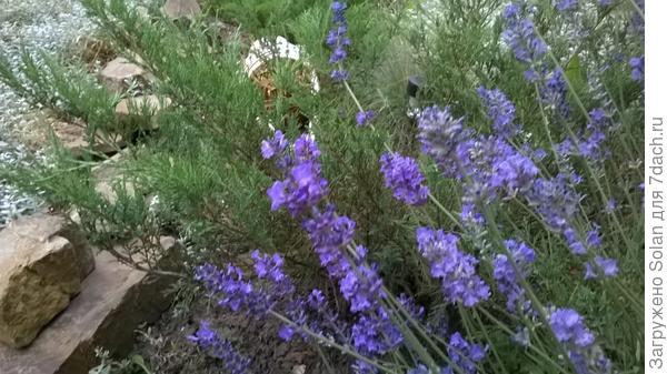 Ира, достаточно ФИОЛЕТОВО?))))