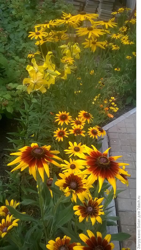 Предугадать расцветку невозможно)))