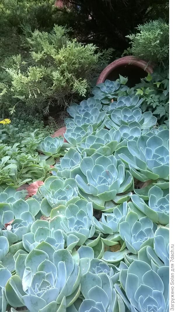 Для единственной девушки -победителя!!!!