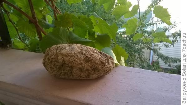 похож на Ваш?))))