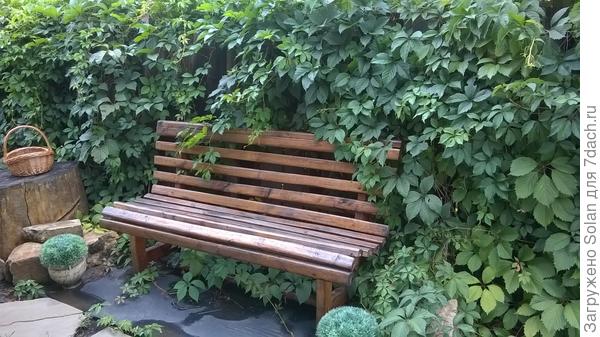 я его обожаю !