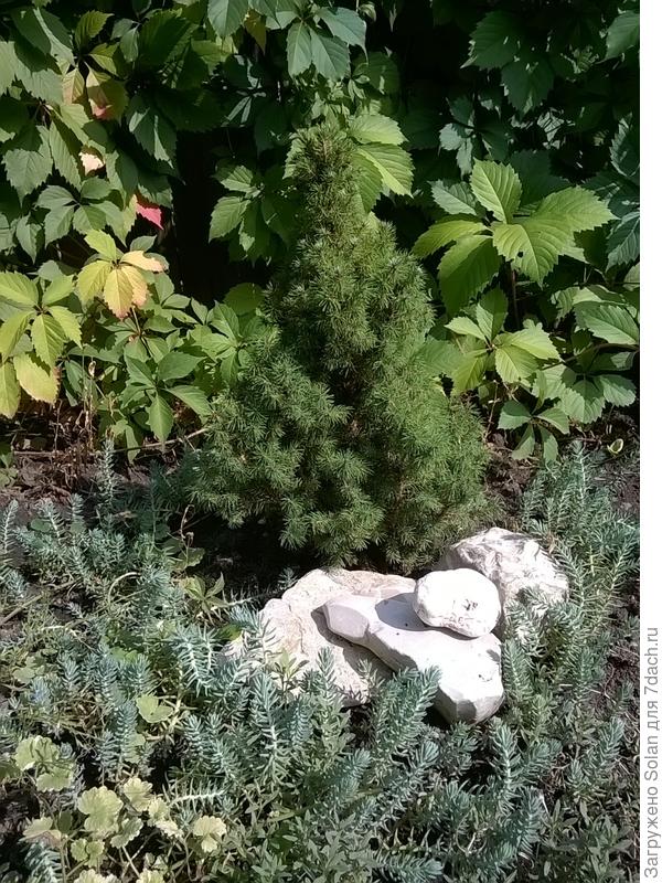 &quot;Маруся&quot; с камушками.