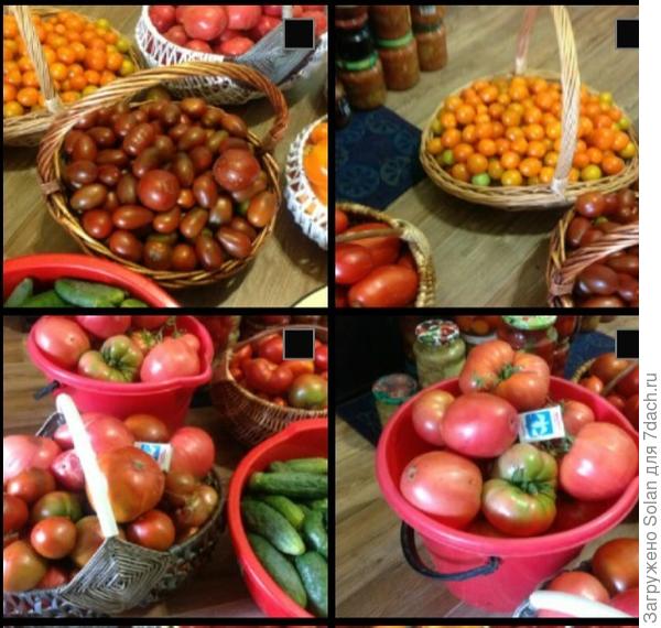 Левый верхний квадрат. в центре в корзине лежат. Очень похожи.