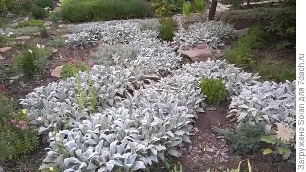 очень не хотелось показывать)))))