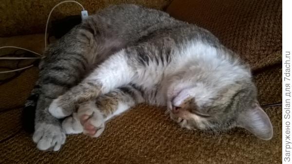 спать в кресле