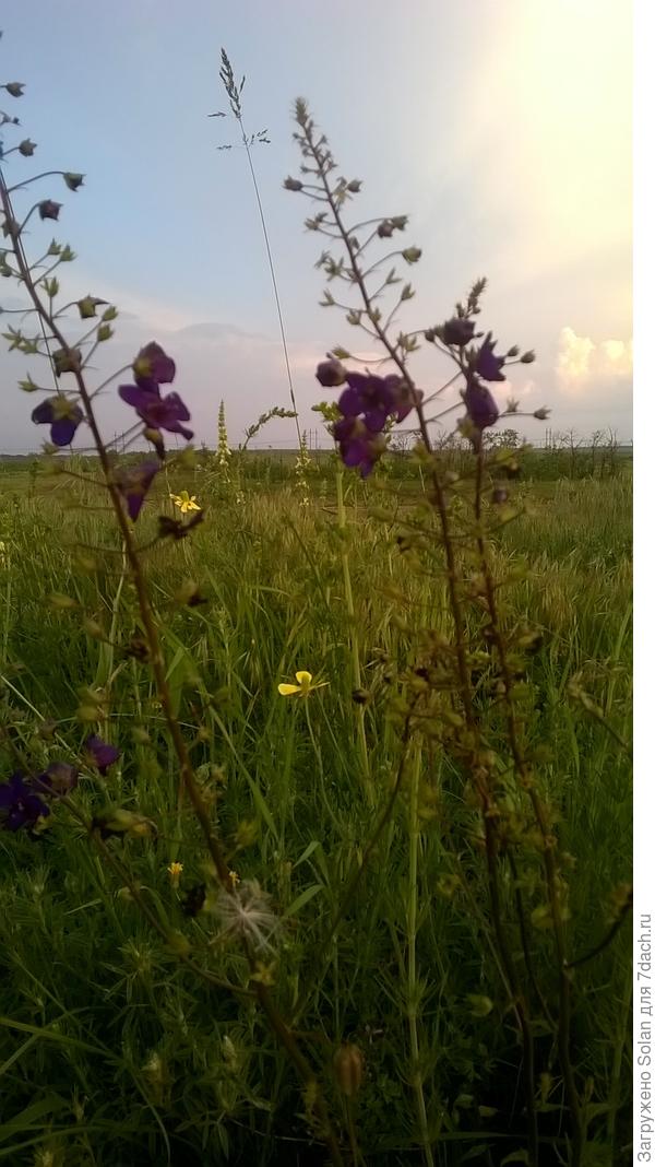 а хоть на это)))