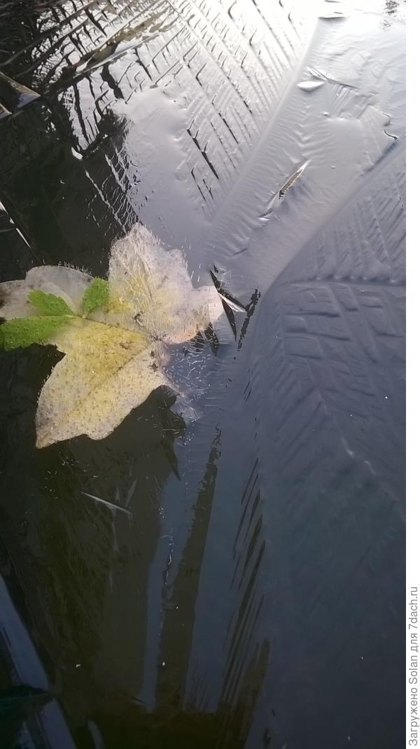 похоже мы любовались одним и тем же?))))