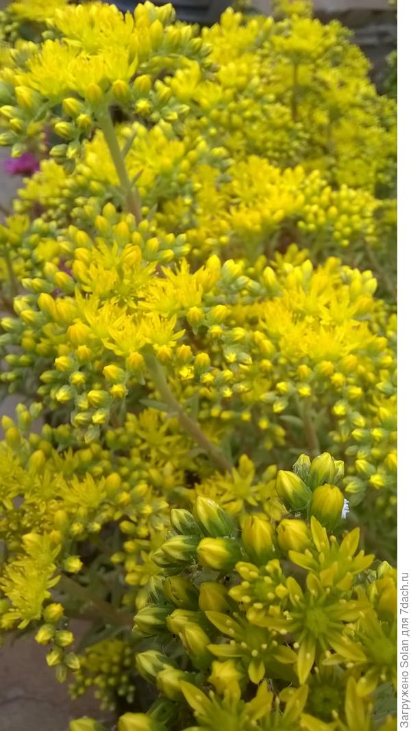 О, еще нашла!