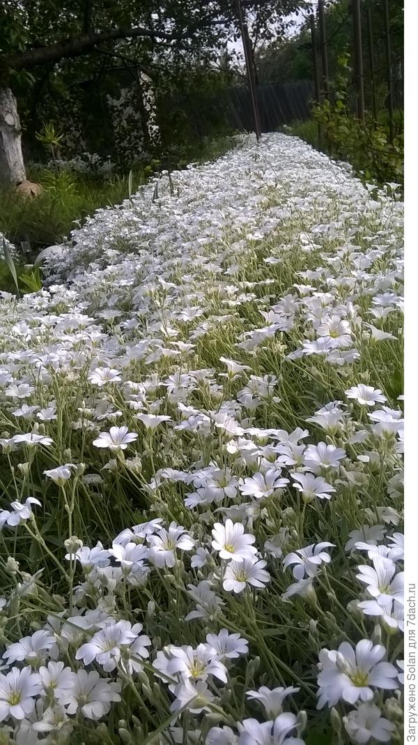 от камней не осталось и следа)))