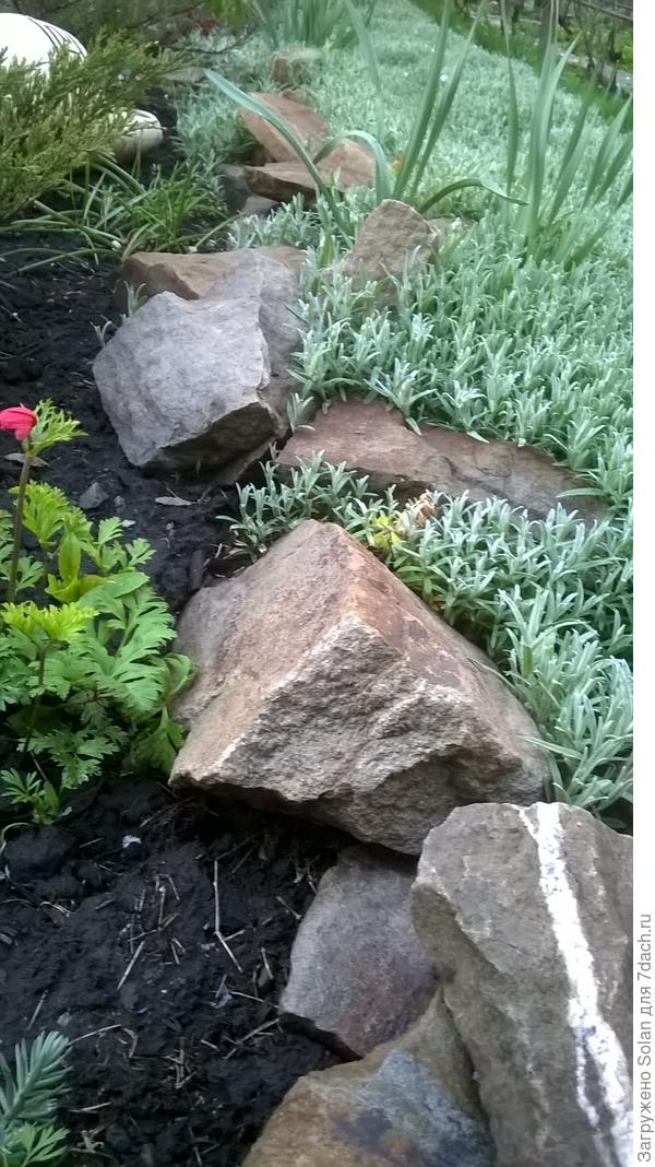 снимок сделан в апреле. Видите, уже поползла на камни))