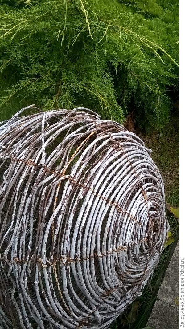 это я руку с телефоном протиснула между прутьями забора))))